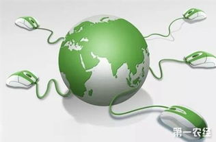 關(guān)注這十大農(nóng)業(yè)戰(zhàn)略，讓農(nóng)民朋友的錢包鼓起來