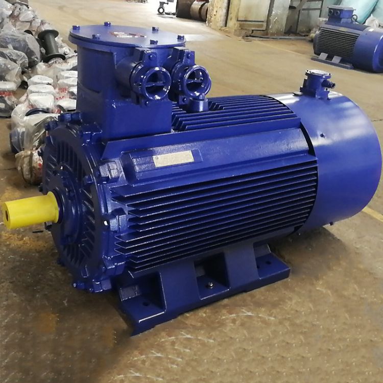 調速電動機-普通電機-防爆電機-江蘇新大力電機制造